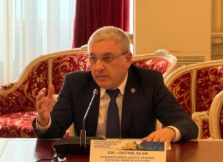 Senatorul Cristinel Rujan: Premierul Ilie Bolojan a încălcat Constituția
