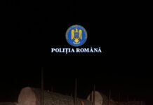Gorjean prins cu lemn mai mult decât avea voie să transporte