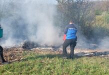 Incendiu de vegetație izbucnit în apropierea bisericii din Rasovița stins de jandarmii montani