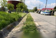Doi câini au fost bătuți cu sălbăticie de un localnic din Țânțăreni. Unul dintre ei a murit