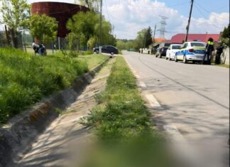 Doi câini au fost bătuți cu sălbăticie de un localnic din Țânțăreni. Unul dintre ei a murit