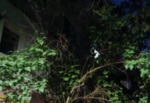 Tragedie într-un apartament din Târgu Jiu: trei membri ai aceleiași familii, găsiți morți