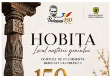 Program manifestări culturale RomânIa Autentică – ACASĂ LA BRÂNCUȘI