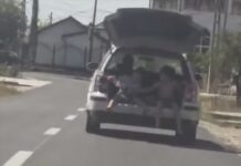 Șofer din Bălești, amendat cu 1.730 de lei pentru că transporta doi copii în portbagaj