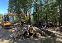Polițiștii din Novaci au confiscat peste 260 metri cubi de lemn de foc