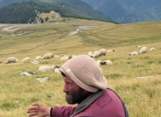 A dispărut după ce a plecat de la o stână din zona Rânca
