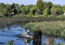 Lacurile de acumulare din Târgu Jiu, curățate de gunoaie