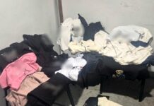 65 de articole vestimentare contrafăcute, ridicate dintr-un magazin din Târgu Jiu